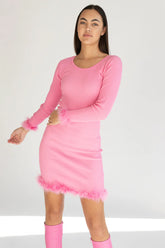 Feather Trim Long Sleeve Mini Dress
